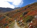 20121006_115200_Mandelon 008